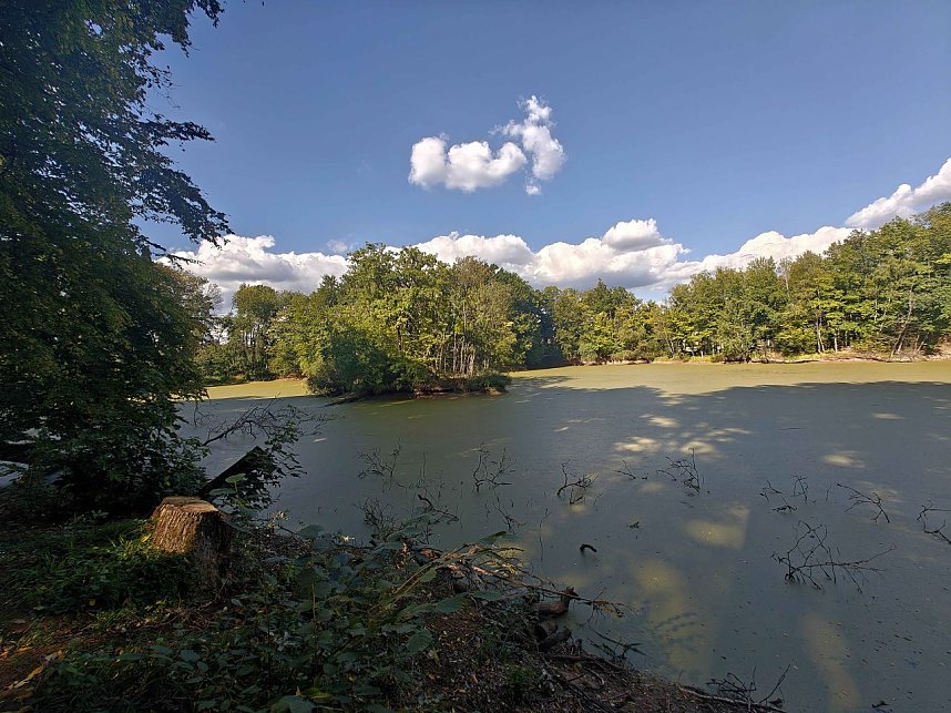 Peter Blei unterwegs am Wiesenteich