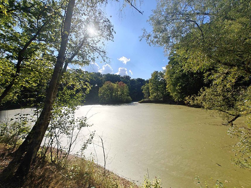 Peter Blei unterwegs am Wiesenteich