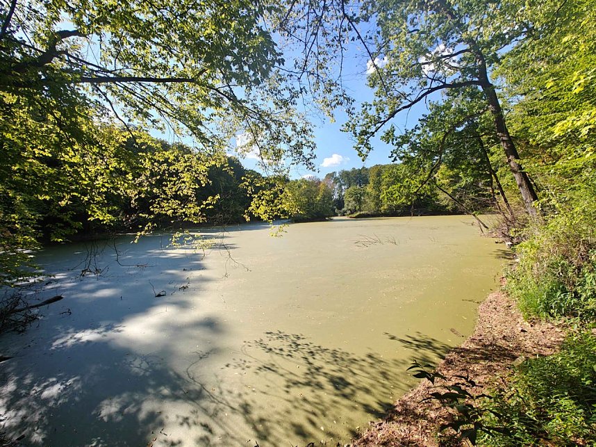 Peter Blei unterwegs am Wiesenteich