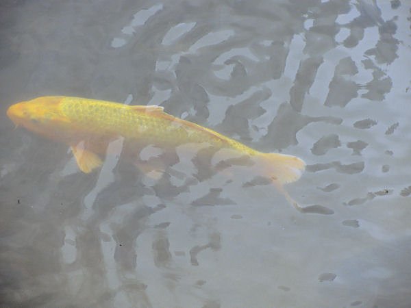 Unterwegs im Vogtland