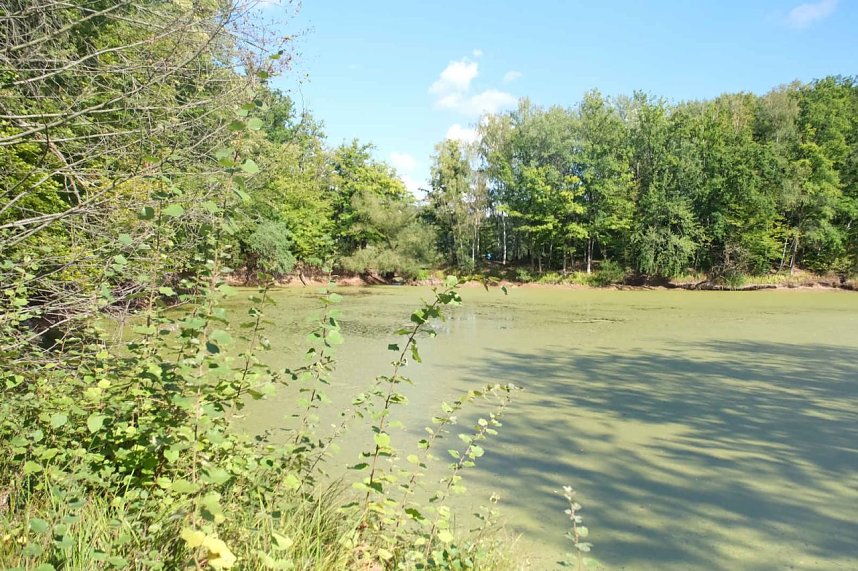 Peter Blei unterwegs am Wiesenteich