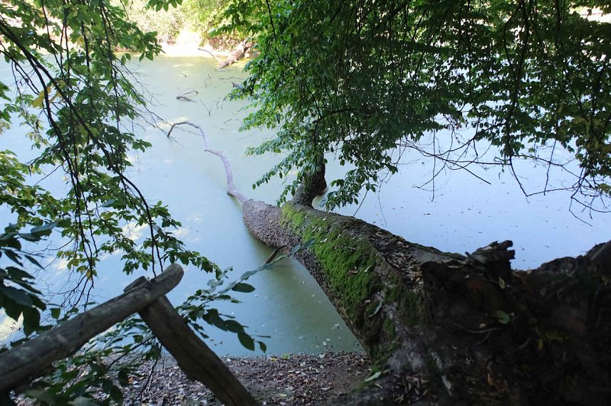 Peter Blei unterwegs am Wiesenteich