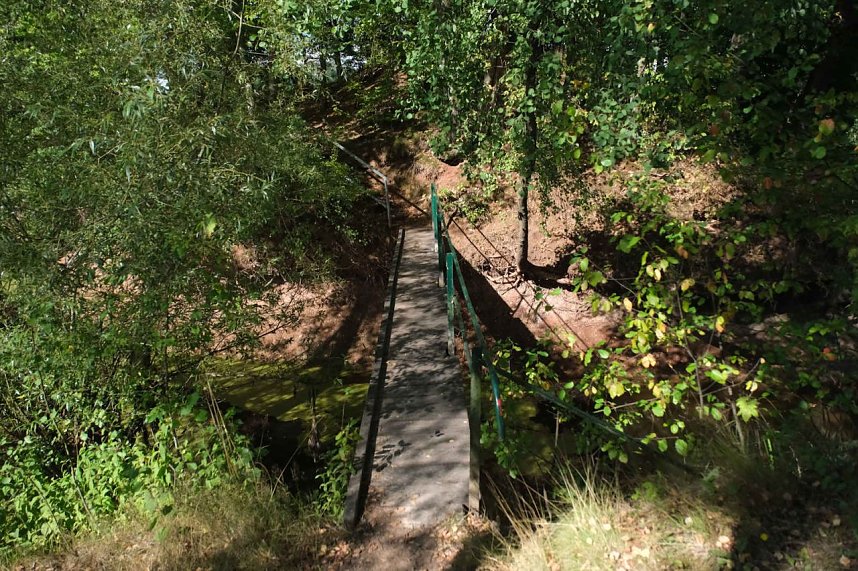 Peter Blei unterwegs am Wiesenteich