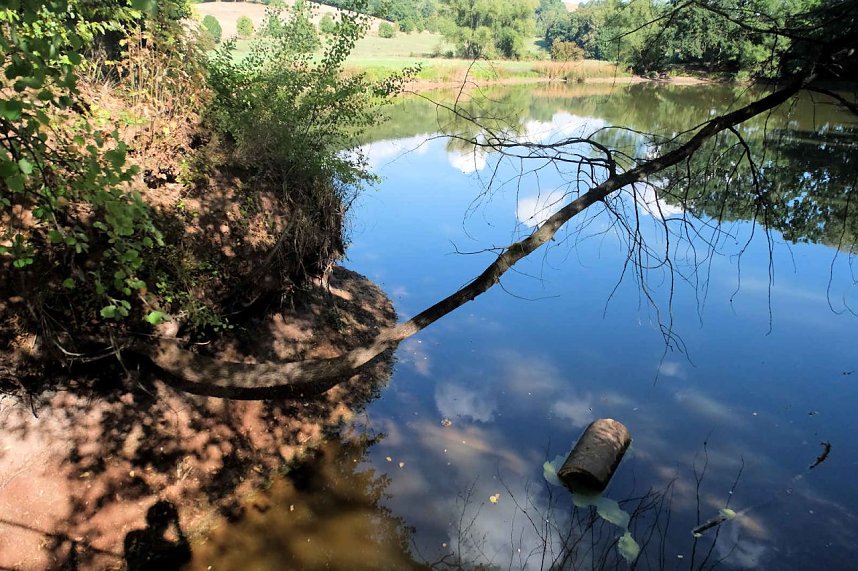 Peter Blei unterwegs am Wiesenteich