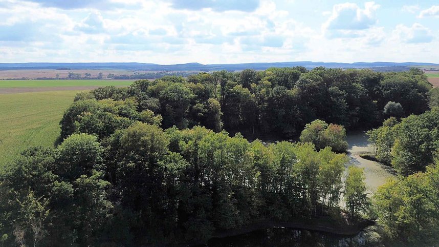 Peter Blei unterwegs am Wiesenteich