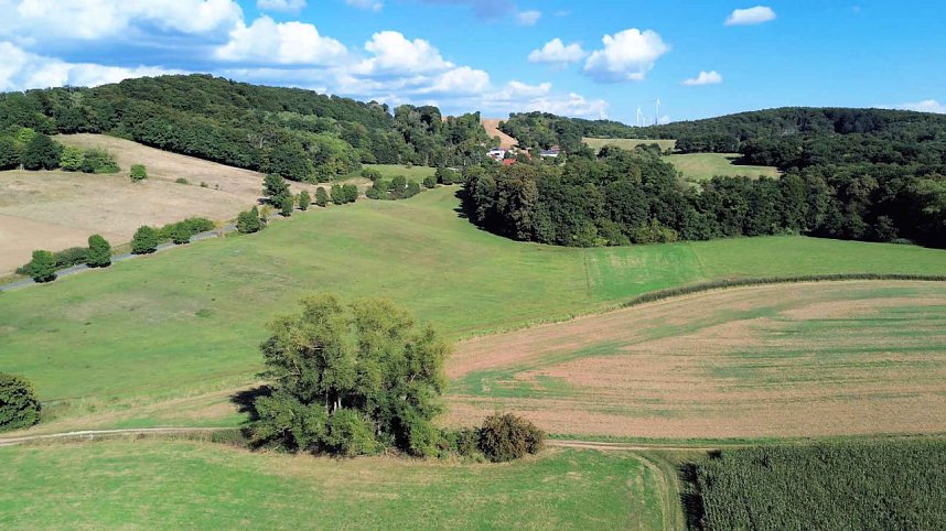 Peter Blei unterwegs am Wiesenteich