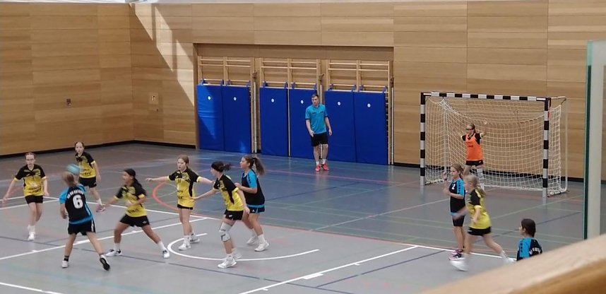 Handballnachwuchs holte Punkte