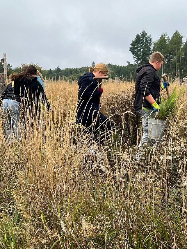 Mit dem Spaten f&uuml;r den Wald - die beiden neunten Klassen der Regelschule Niedersachswerfen halfen bei der Wiederaufforstung im Harz