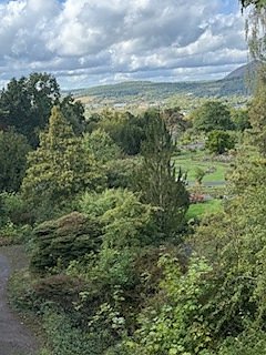 Die Herzsportgruppe machte sich auf den Weg nach Nebra und zu duftenden Rosen