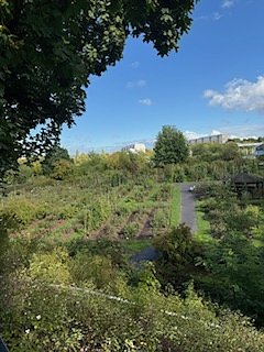 Die Herzsportgruppe machte sich auf den Weg nach Nebra und zu duftenden Rosen