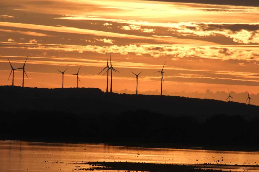 Peter Blei unterwegs am Stausee Kelbra