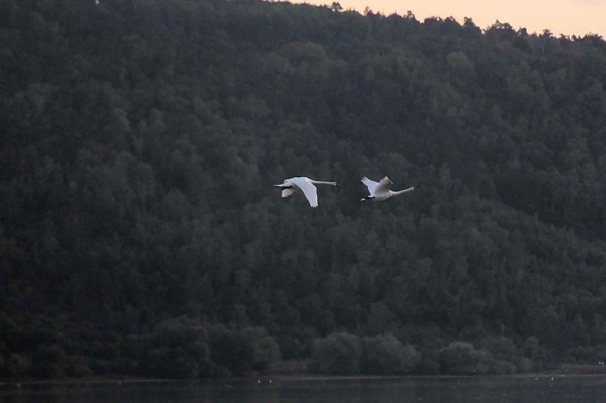 Peter Blei unterwegs am Stausee Kelbra