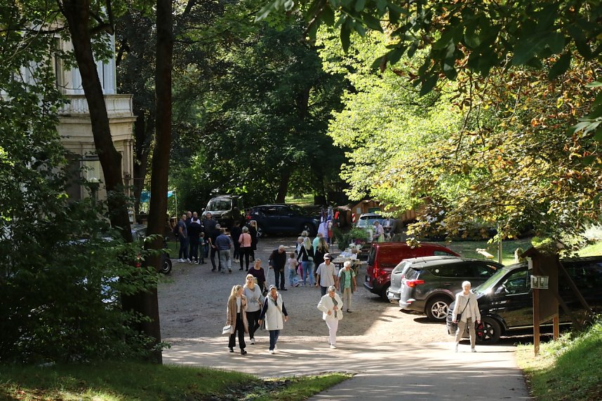 Geburtstagsfeier im Park Hohenrode
