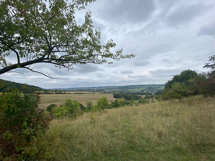 Herbstwanderung mit Wolfgang Lehmann