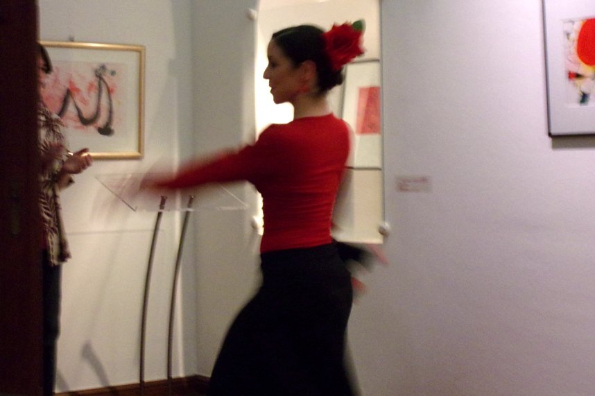 Vernissage im Kunsthaus Meyenburg