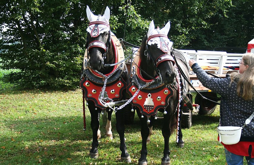 Oktoberfest gefeiert 