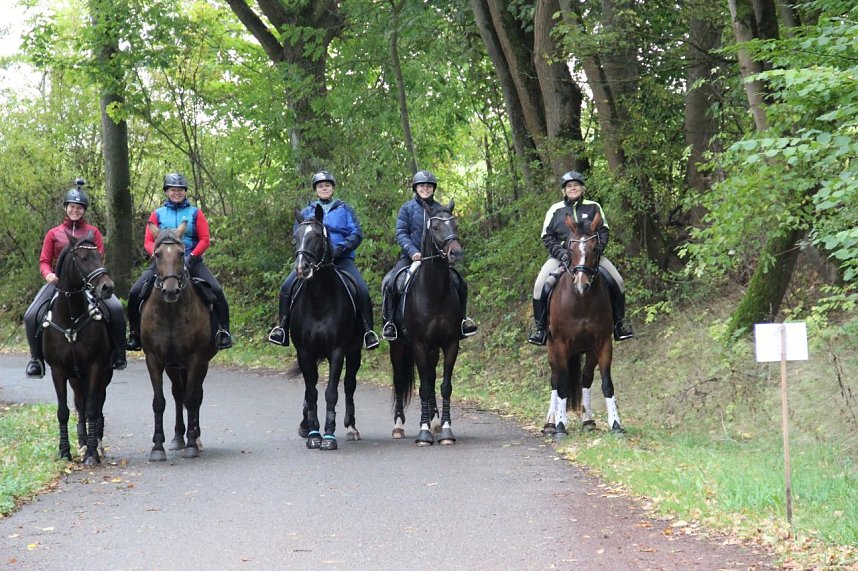 Die S&uuml;dharz-Rallye 2025