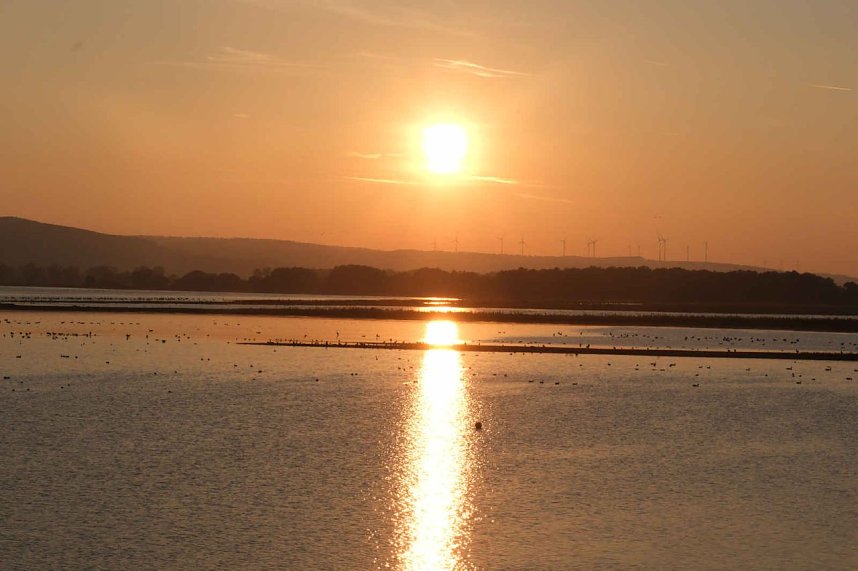 Peter Blei unter Kranichen