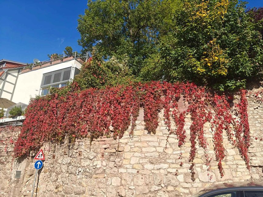 Herbststimmung in Nordhausen