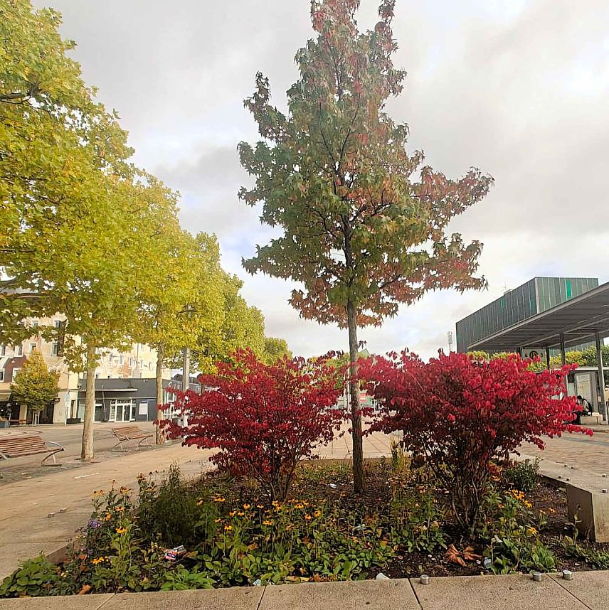 Herbststimmung in Nordhausen