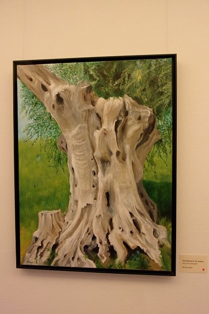 Neue Ausstellung in der Kreissparkasse