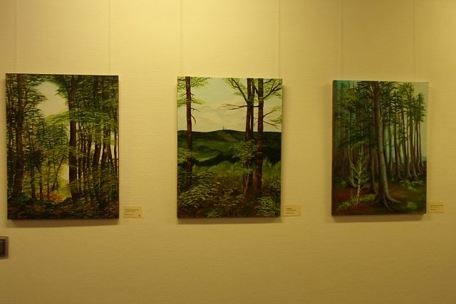 Neue Ausstellung in der Kreissparkasse