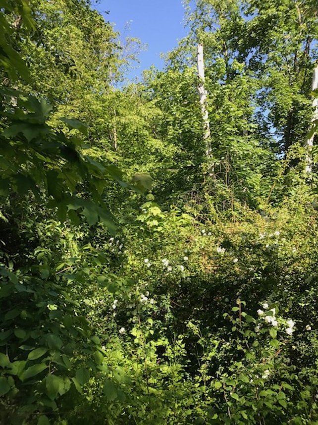 Aktive Wohnungsbaugenossenschaft in Nordhausen