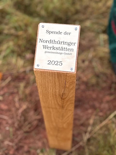 Baumpflanzungen im Stadtwald