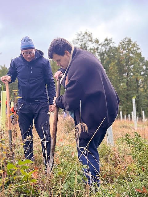 Baumpflanzungen im Stadtwald
