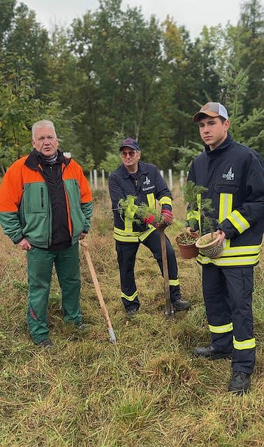 Baumpflanzungen im Stadtwald