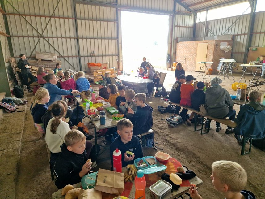 Kartoffelernte der Grundsch&uuml;ler in Werther