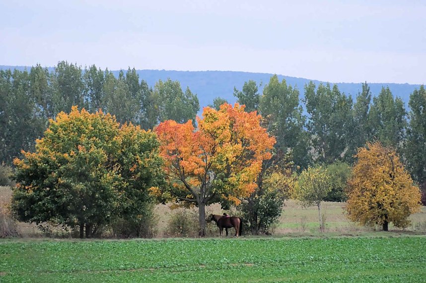 Peter Blei unterwegs in der Windl&uuml;cke