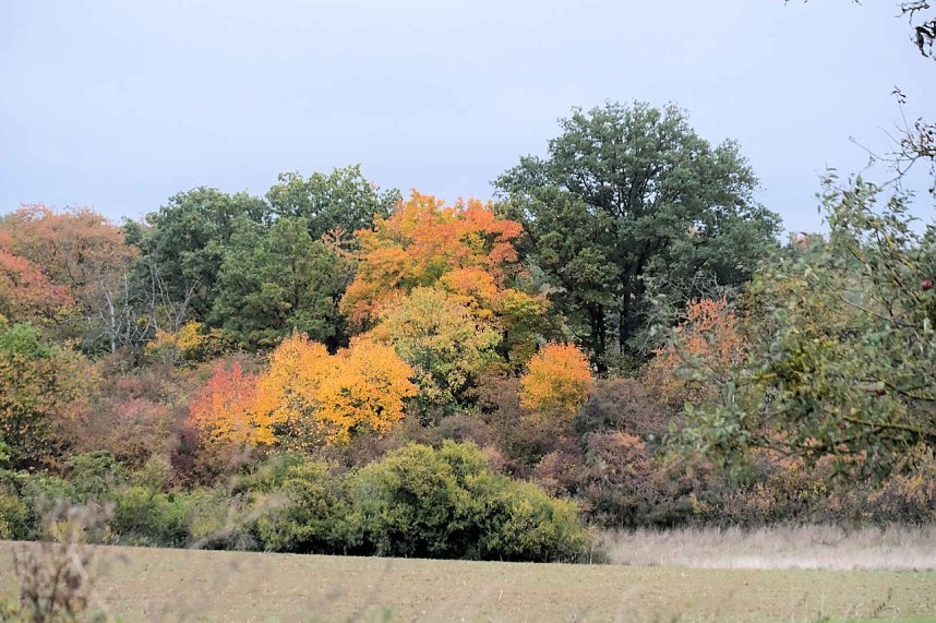 Peter Blei unterwegs in der Windl&uuml;cke