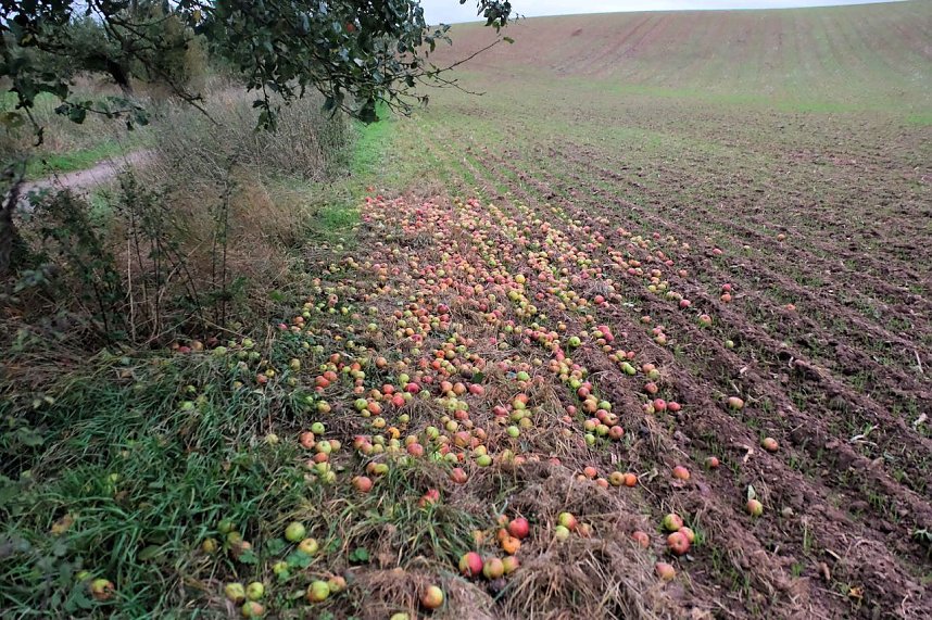 Peter Blei unterwegs in der Windl&uuml;cke