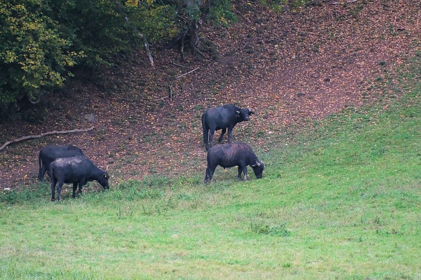 Peter Blei unterwegs in der Windl&uuml;cke