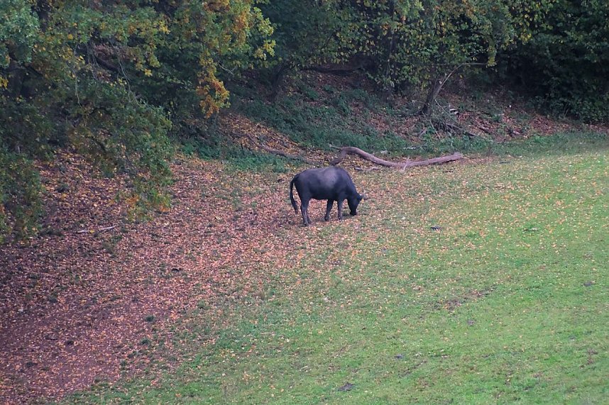 Peter Blei unterwegs in der Windl&uuml;cke