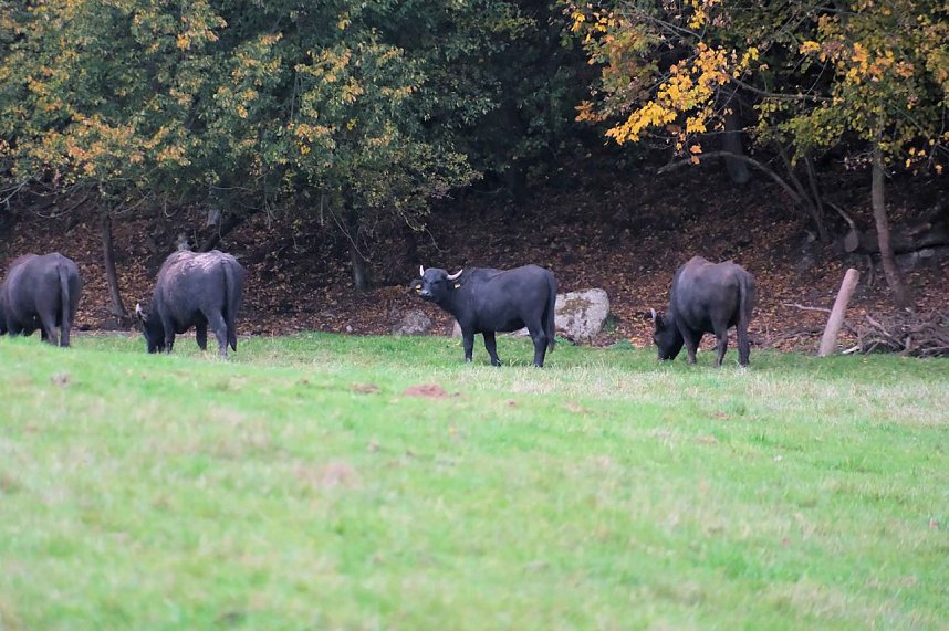 Peter Blei unterwegs in der Windl&uuml;cke