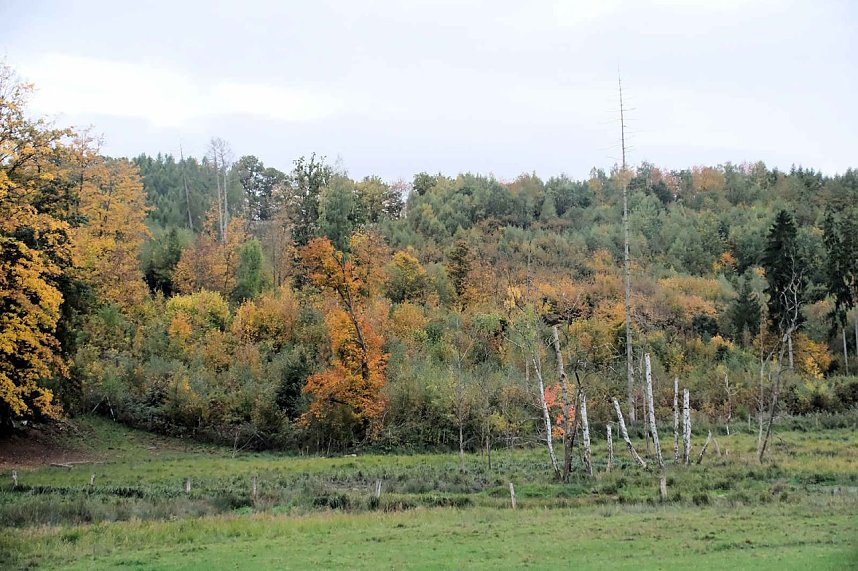 Peter Blei unterwegs in der Windl&uuml;cke
