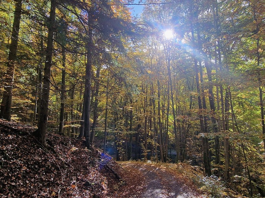 Herbstwanderung im S&uuml;dharz