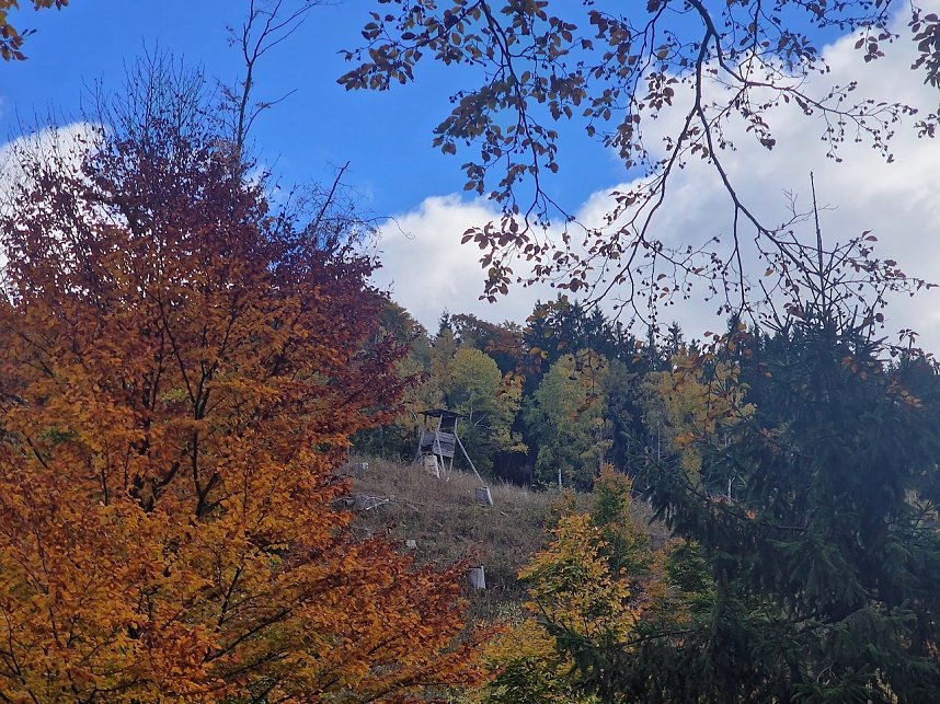 Herbstwanderung im S&uuml;dharz