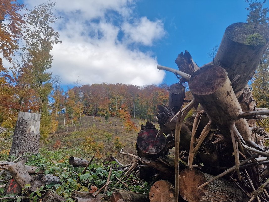 Herbstwanderung im S&uuml;dharz