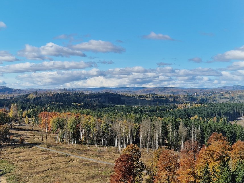 Herbstwanderung im S&uuml;dharz