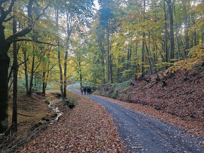 Herbstwanderung im S&uuml;dharz