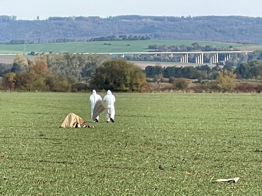 Vogelgrippe jetzt auch im Landkreis Nordhausen