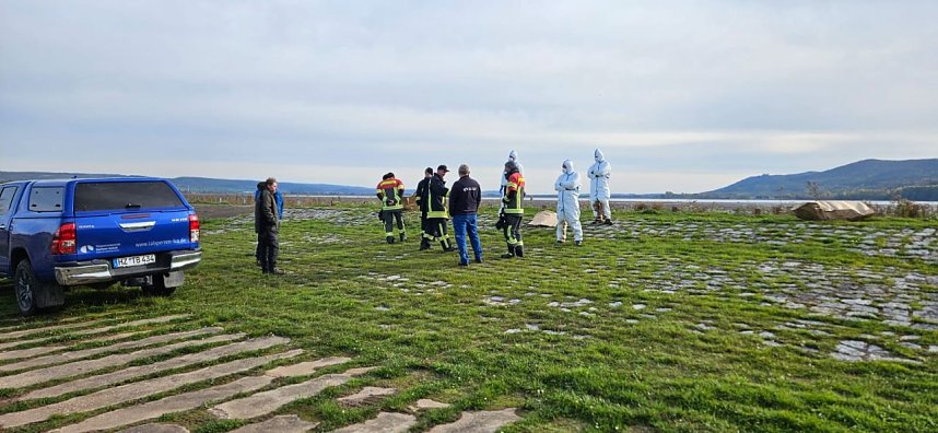 Vogelgrippe jetzt auch im Landkreis Nordhausen