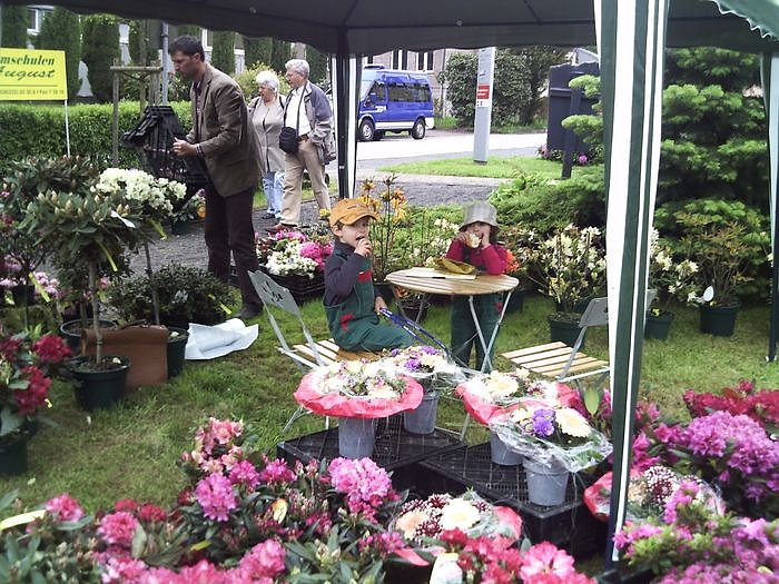 Rhododendronfest in S&uuml;lzhayn