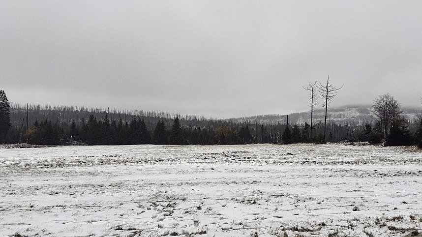 Erste Schneefall im Oberharz