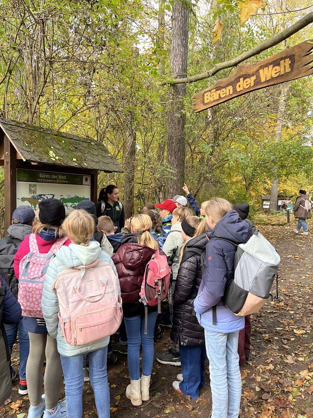 Die 5. Klassen des Humboldt-Gymnasiums waren zu Besuch im B&auml;renpark Worbis
