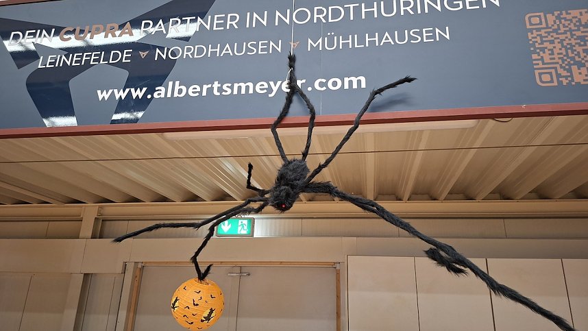 Halloween-Handball in Nordhausen