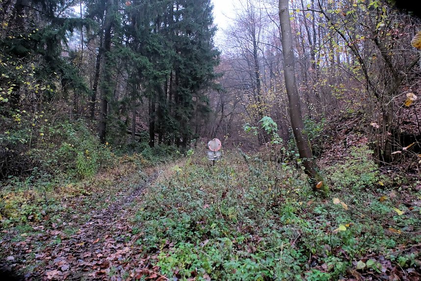 Peter Blei unterwegs im Urwald